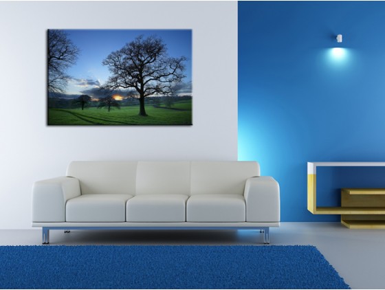 tableau-deco-photo-sur-toile-paysages-de-campagne