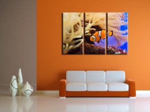 tableau-poisson-clownfish-3p