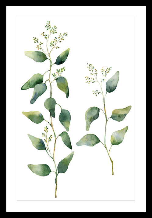 Affiche encadrée d'une aquarelle style herbier
